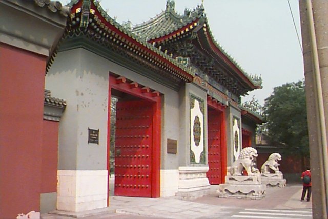 Photograph