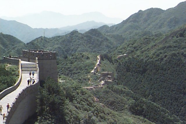 Photograph