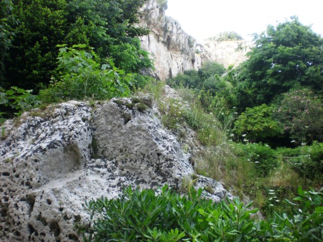cimg1850.jpg