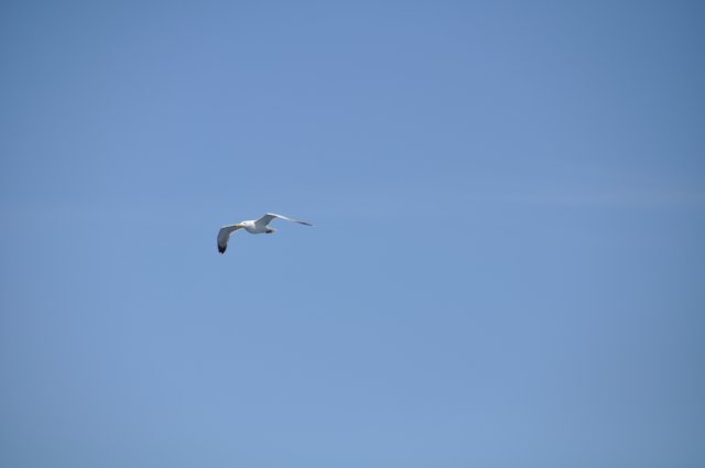 dsc_3471.jpg