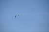 dsc_3471_small.jpg