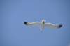 dsc_3475_small.jpg