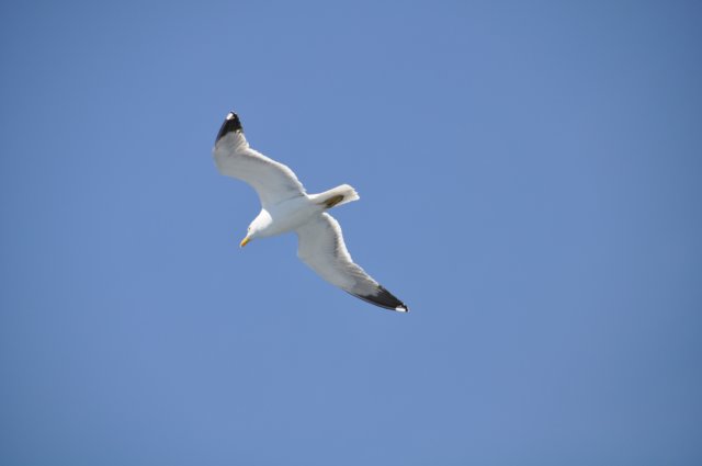 dsc_3476.jpg