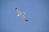 dsc_3476_small.jpg