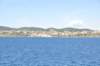 dsc_3477_small.jpg