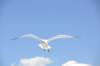 dsc_3478_small.jpg