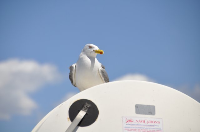 dsc_3479.jpg