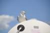 dsc_3479_small.jpg