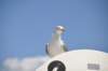 dsc_3480_small.jpg
