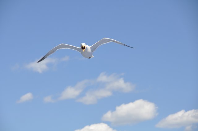 dsc_3482.jpg