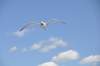 dsc_3482_small.jpg