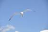 dsc_3483_small.jpg