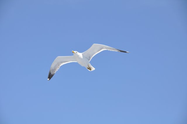 dsc_3485.jpg