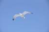 dsc_3485_small.jpg