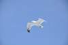 dsc_3486_small.jpg
