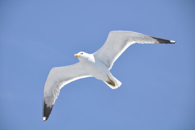 dsc_3487.jpg