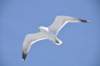 dsc_3487_small.jpg