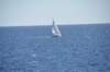 dsc_3489_small.jpg