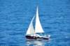 dsc_3497_small.jpg