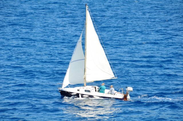 dsc_3498.jpg