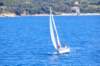 dsc_3500_small.jpg