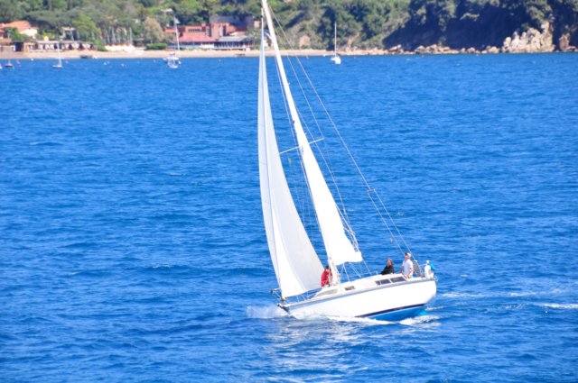 dsc_3501.jpg