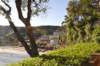 dsc_3513_small.jpg