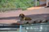 dsc_3516_small.jpg