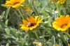 dsc_3521_small.jpg