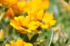 dsc_3522_small.jpg