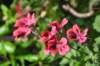 dsc_3523_small.jpg