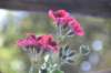 dsc_3525_small.jpg
