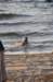 dsc_3534_small.jpg