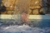 dsc_3543_small.jpg