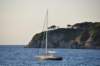 dsc_3545_small.jpg