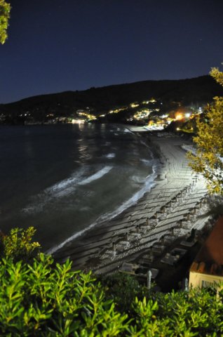 dsc_3580.jpg