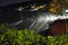 dsc_3581_small.jpg