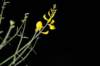 dsc_3586_small.jpg