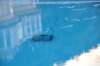 dsc_3591_small.jpg