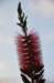dsc_3593_small.jpg