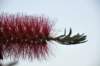 dsc_3594_small.jpg