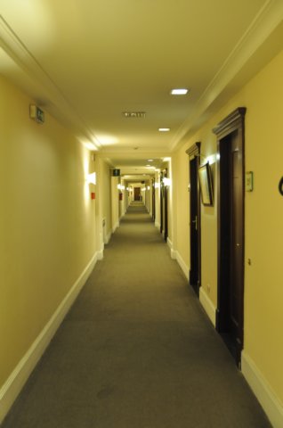 dsc_4994.jpg
