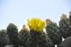 dsc_5046_small.jpg