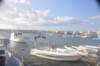 dsc_5070_small.jpg
