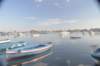dsc_5071_small.jpg