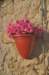 dsc_5080_small.jpg