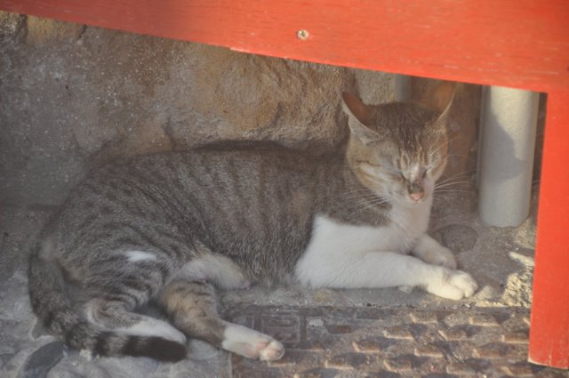 dsc_5082.jpg