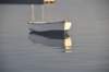 dsc_5084_small.jpg
