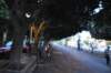 dsc_5088_small.jpg