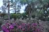 dsc_5089_small.jpg